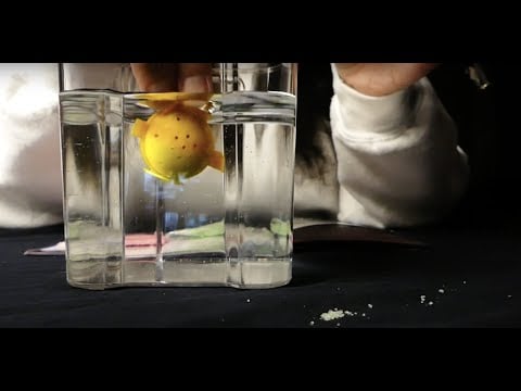 ASMR Advent Day 5 | ASMR Science, Legos, and Chocolate Eating