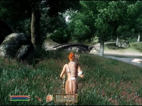 ASMR TES IV Oblivion: Ulterior Motives