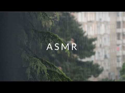 ASMR Lofi Rainy Day