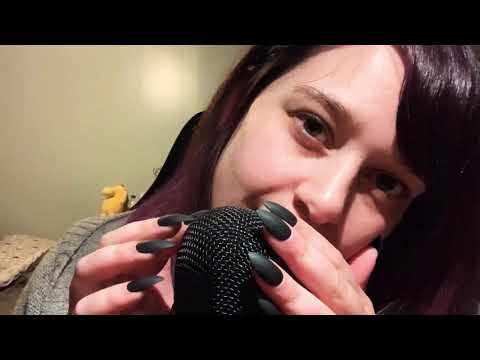 Nail Antics & Bulldog Snoring