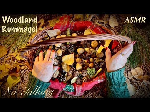 Cozy Forest ASMR 🍂 Sorting woodland nature finds (No talking only) 