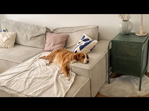 ASMR ✨ - lofi tingly roomtour
