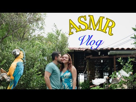 Asmr vlog: fim de semana na chácara