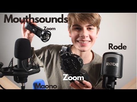 [ASMR] Only Mouthsounds | With All My Mics | Echo | German