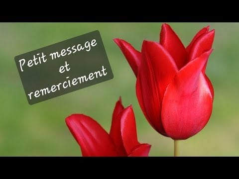 Asmr français " Petit message et remerciement " 🙏❤️