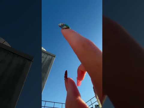 random triggers asmr #asmr #lofiasmr #poolasmr #relax