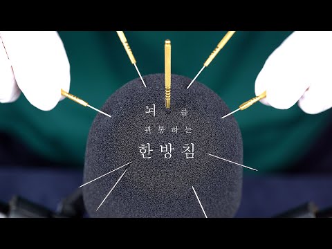 ASMR❗저한테 한 방 맞아볼래요?❗고인물 저격ㅣ집 나간 팅글도 돌아오는 침 꽂는 소리
