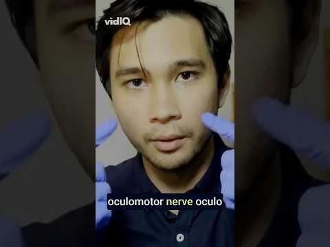 POV: I'm Your Cranial Nerve Doctor #asmr #shorts #medicalasmr