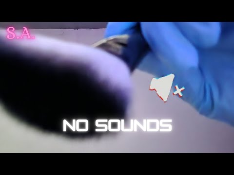 Asmr | NO SOUNDS - Brushing you