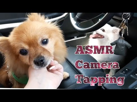 ASMR Camera Tapping(No Talking)Lo-fi