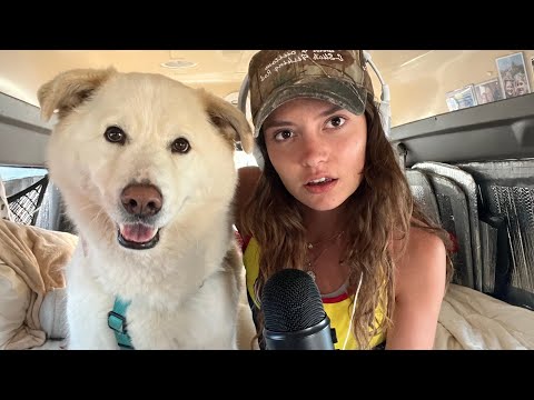 Attempting ASMR With My Husky Retriever & Beach Waves