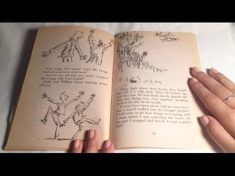 ASMR - Whispered Bedtime Story (Close Up, Page Turning)