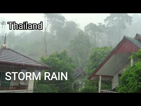 ASMR Tropical rain storm in Thailand.