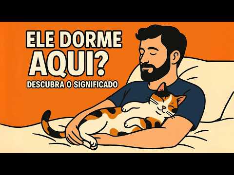 Onde o Gato Dorme Revela o que Ele Sente por Você | Entenda o Comportamento Felino