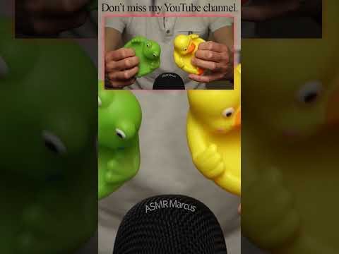 ASMR Tapping plastic ducks together #short