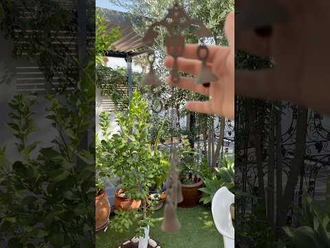 Good Morning ASMR #nature #asmr #mouthwhisper #tingles #visualtingle #tapping #layeredasmr #asmr