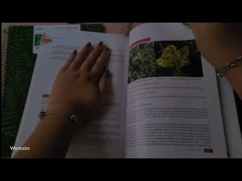 ASMR - Folheando Um Livro Com Sons Mega Relaxantes | Para Dormir Mais Rápido
