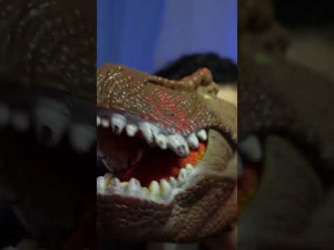 ASMR Dino