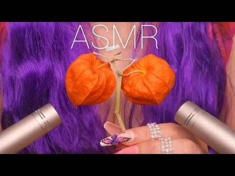 ASMR BRAIN Massage 🌟Chinese Lantern Flower Sounds, Mic Scratching, Mic Tapping, Layered Sounds