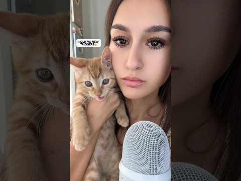 COMMENT what WINS #asmr #asmrtriggers #explore #satisfying