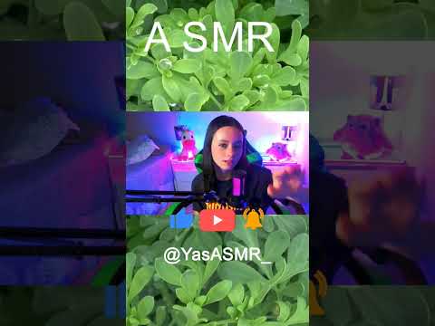 Encontre sua paz noturna com a nossa sessão de #ASMRtapping 🎧 #ASMRsleep #SoothingVibes