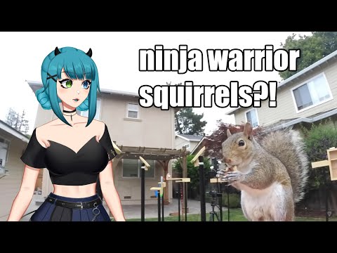 Are my squirrels below average?? | Mark Rober React