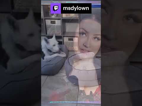 MsD's #ASMR Ghost | msdylown on #Twitch