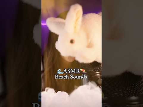 Beach sounds and seagulls to relax you 💙 #asmr #beachsounds #relaxingvideos #tinglesounds #asmrtist