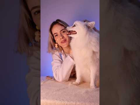 ASMR | veterinária por amor 🫶🏼 #asmr #relax #asmrbrasil