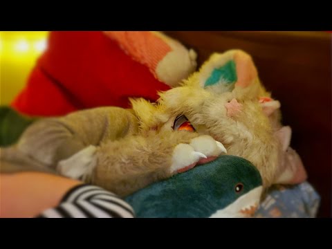 [FURRY ASMR] Falling Asleep Together on a Sad Night 💞💤 (heartbeat)