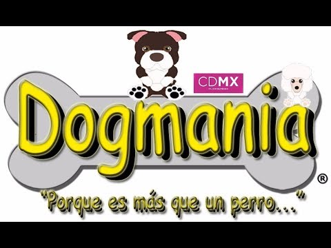 asmr tienda de mascotas