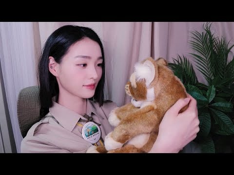 ASMR(Sub) 🐯아기사자 사육사 상황극| 🪲진드기제거ver ,털 빗기,재우기💤| Baby lion Zookeeper Roleplay (KR)