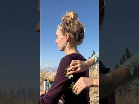 Dry leaves 🍂 #asmr