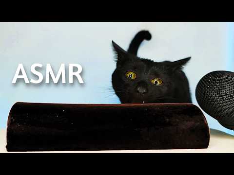 Black Cat Eating Black Food ASMR Mukbang 🖤