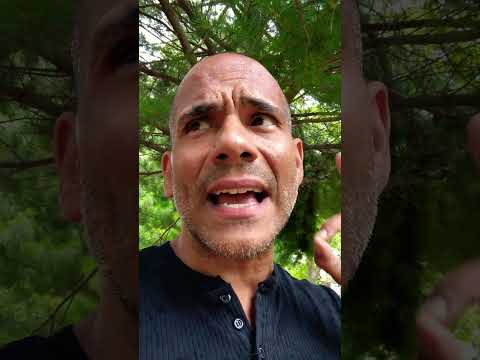 ride the wave of life #asmr #selfcare #encouragement #real #facts #fy #fyp #fypシ #fypシ゚viral