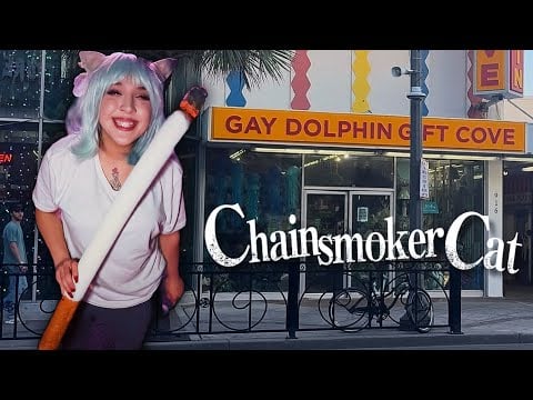 Chainsmoker Cat Takes Over Myrtle Beach | ASMR Roleplay