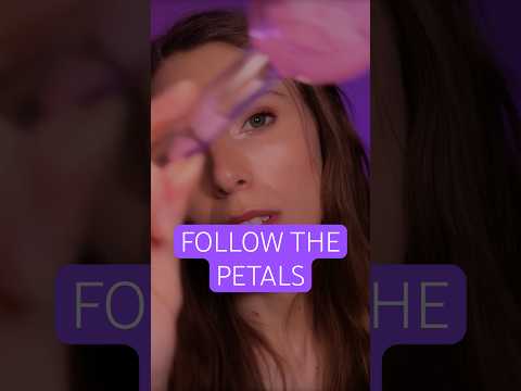 Follow the cherry blossom petals 🌸 ASMR