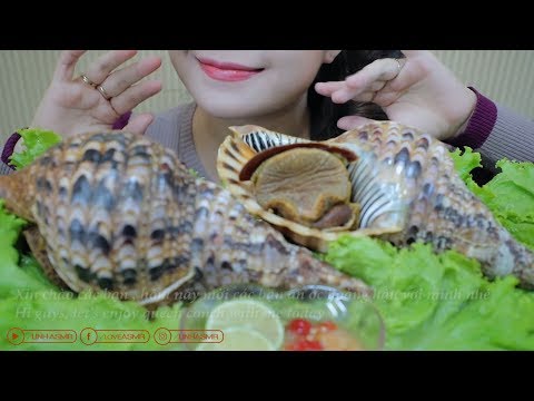 ASMR GIANT QUEEN CONCH , EATING SOUNDS | LINH-ASMR