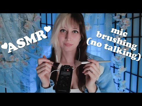 ASMR 💙 40 minutes of raw & covered mic brushing (no talking) #asmr #micbrushing