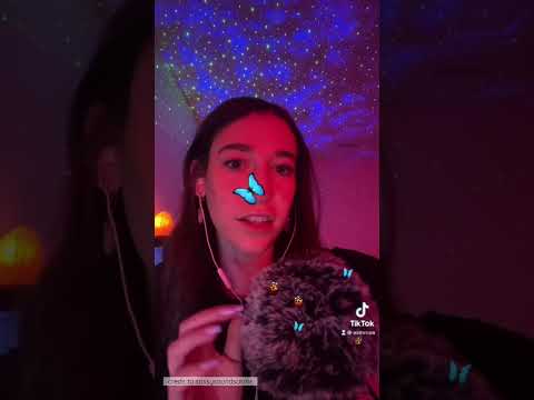ASMR bug search :)