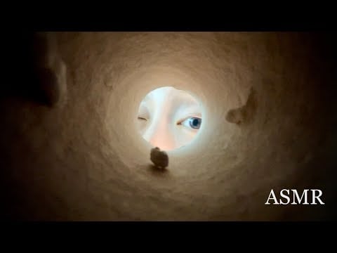 👁️ASMR👁️ Paper Roll Trigger | Foraging in the Toilet Paper Tube | Random Item Tapping & Scratching