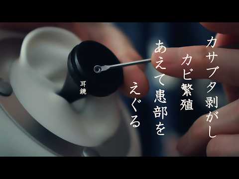 【ASMR 無言】化膿した傷のカサブタを剥がしたら湿気を好むカビが繁殖。強い痒みと汁まみれになった耳のケアをしつつあえて刺激を与えにいくチュエーション的な耳掃除。