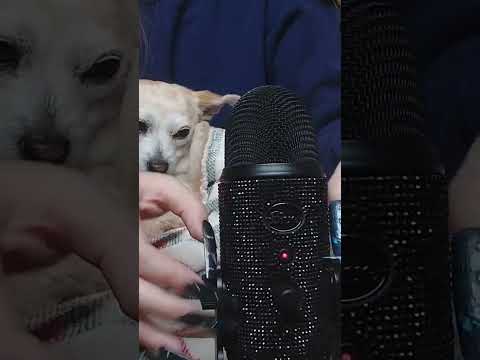 fast and aggressive mic scratching ASMR