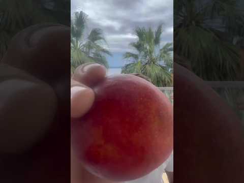 This Nectarine Is INSANELY Juicy 🍑🎧 #shorts
