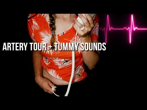 Body Artery Tour + Tummy Sounds [ASMR]