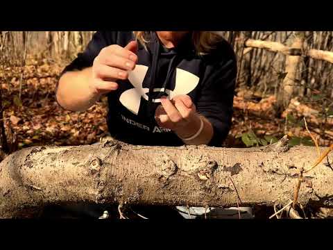 ASMR | Giving A Tree A Massage 🌳