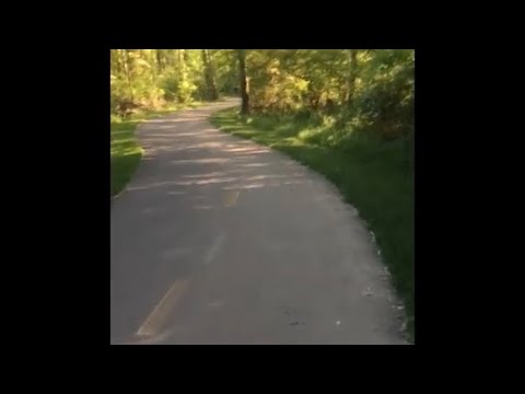 Walk-In The Park/Trail  ASMR Nature Sounds Gentle Whispers Relaxing Mouth Sounds  Birds Chirping