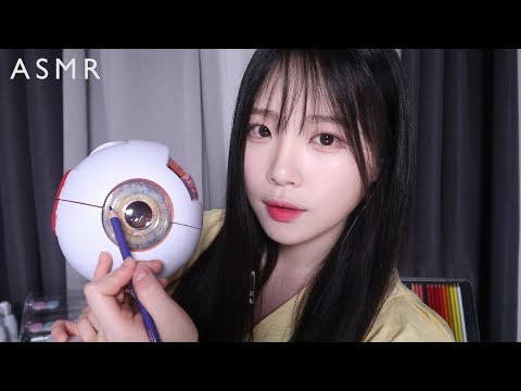 ASMR(Sub✔)잠이 오는 렌즈 메이크업 샵 상황극 (간질간질 시각적 팅글 폭발) Sleepy Lens Makeup Shop