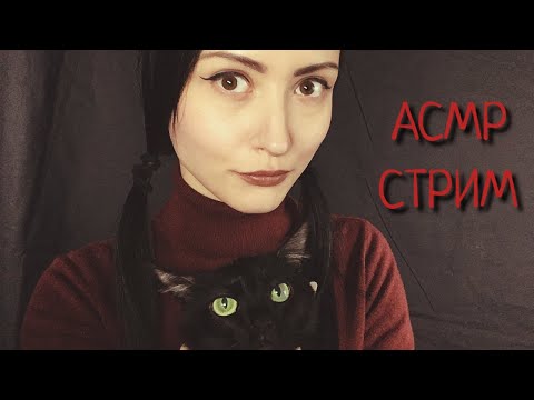 АСМР СТРИМ Одинокий канал ищет просмотры ❤ Кто в доме хозяин?