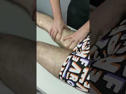MASSAGE TO RELIEVE MUSCLE FATIGUE IN THE HIND LEGS #satisfying #relaxing #asmr #shorts #massage